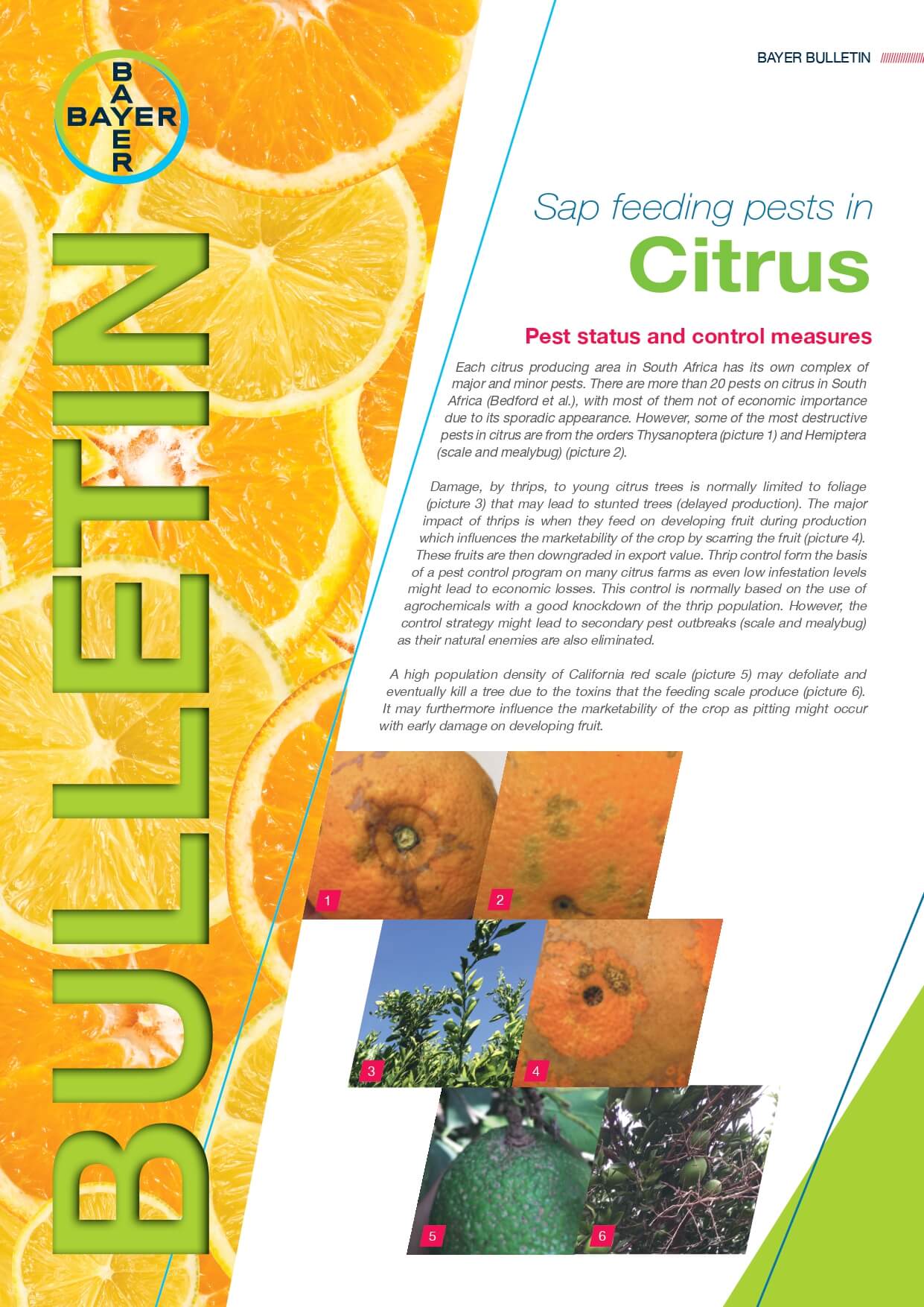 Citrus - Sap Feeding Pests