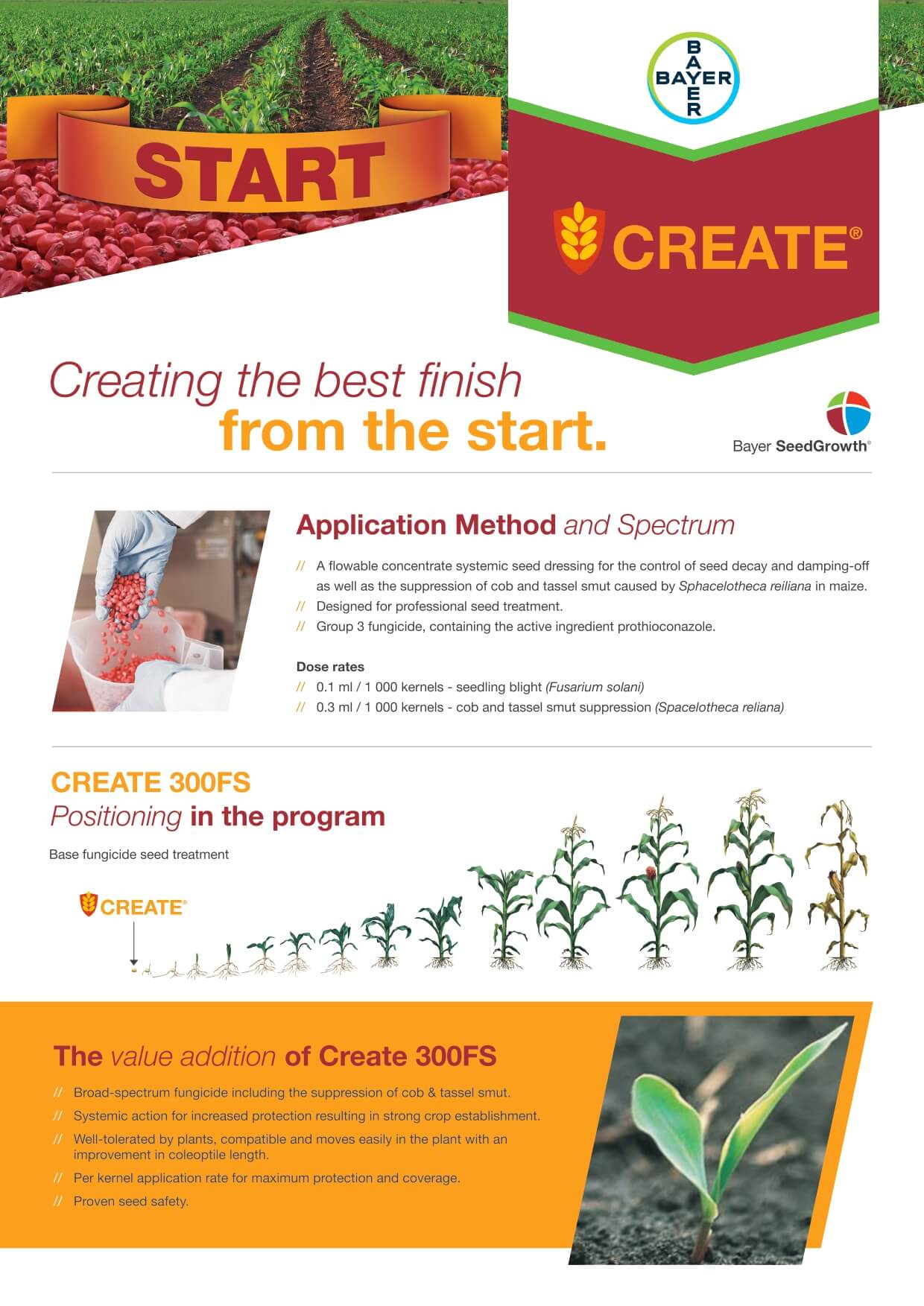 Maize - Leaflet - Create 300FS