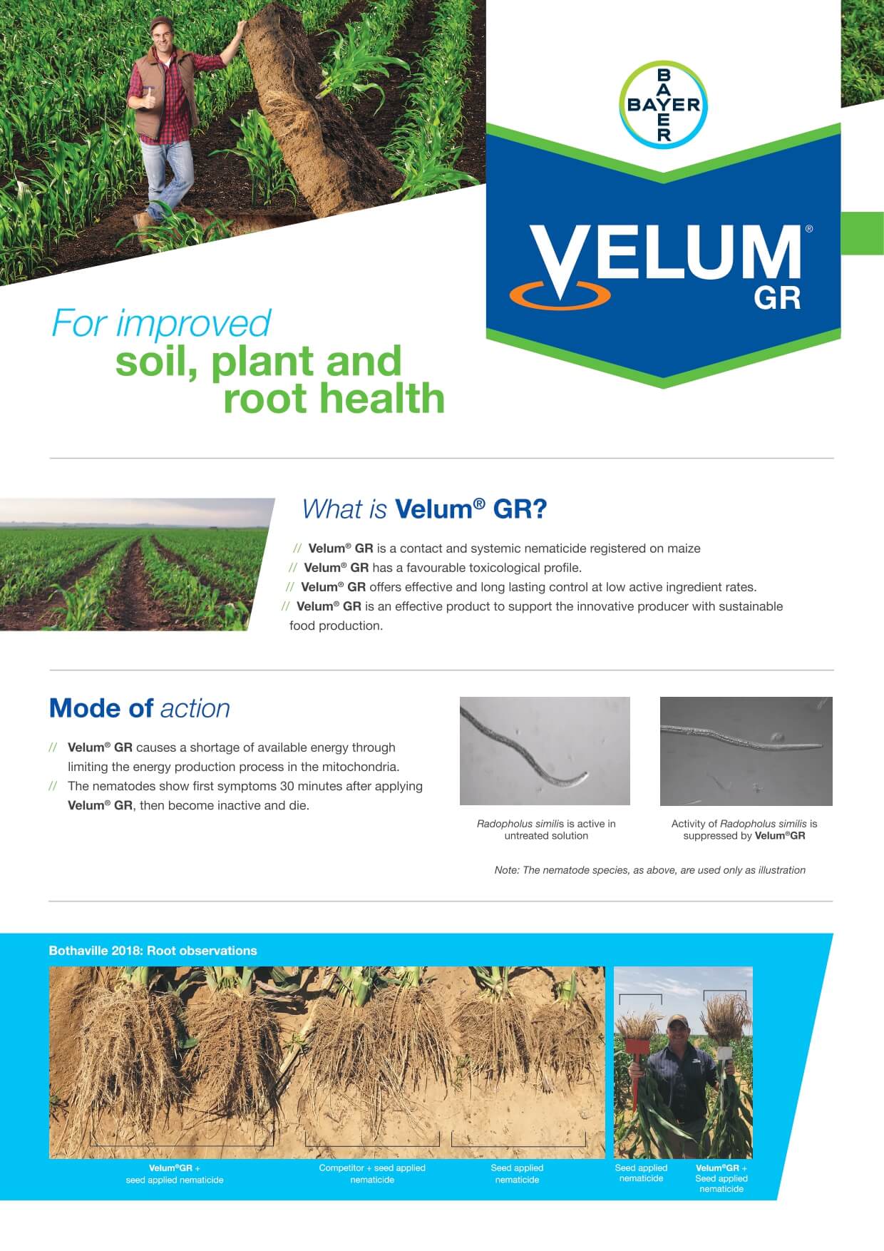 Bayer Maize Velum GR Leaflet