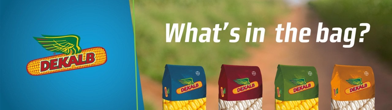 What's in the Dekalb seed bags?