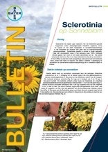 Sclerotinia