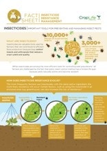 Insecticide Resistance Management