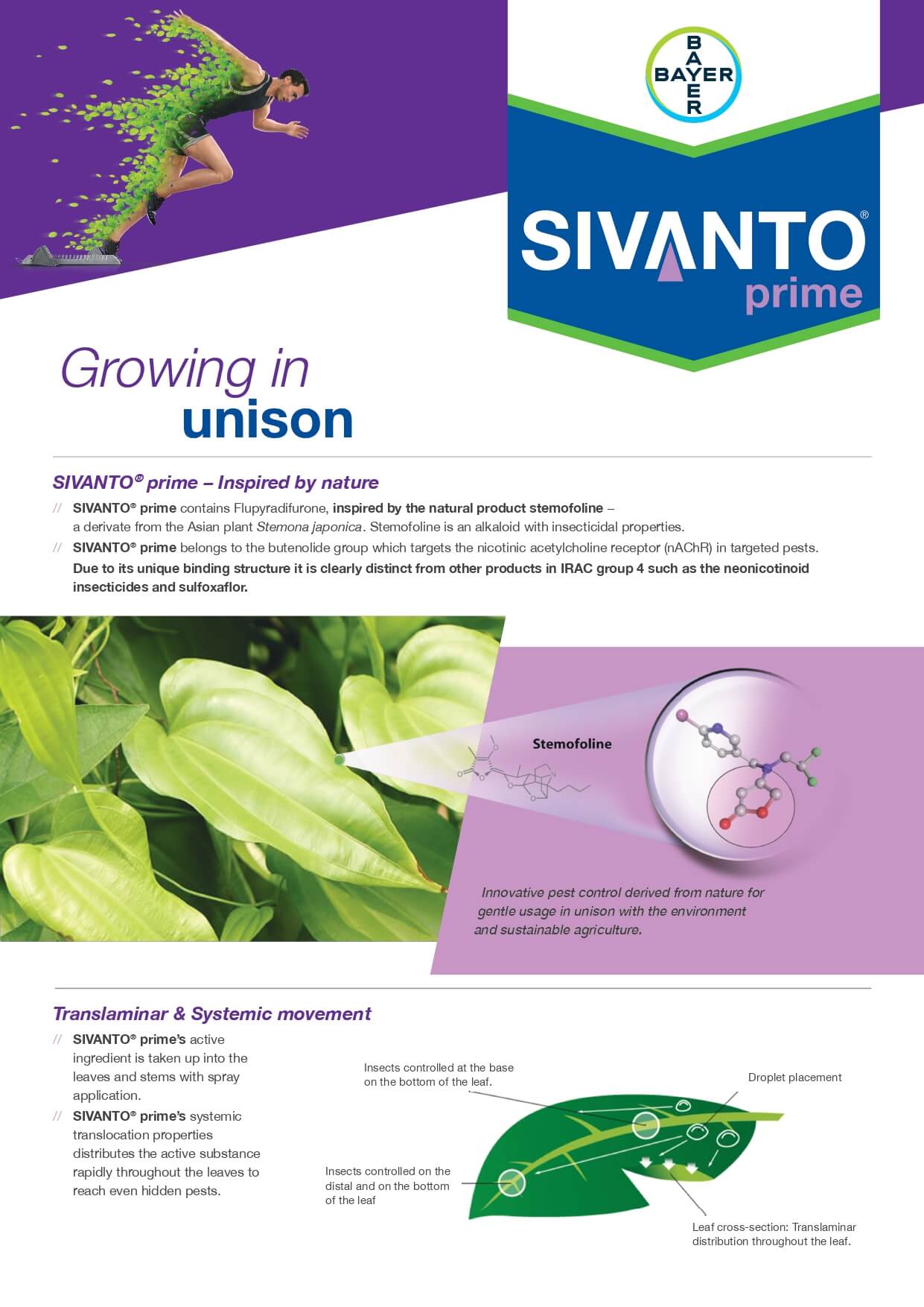 Bayer Veggies Sivanto Prime Leaflet