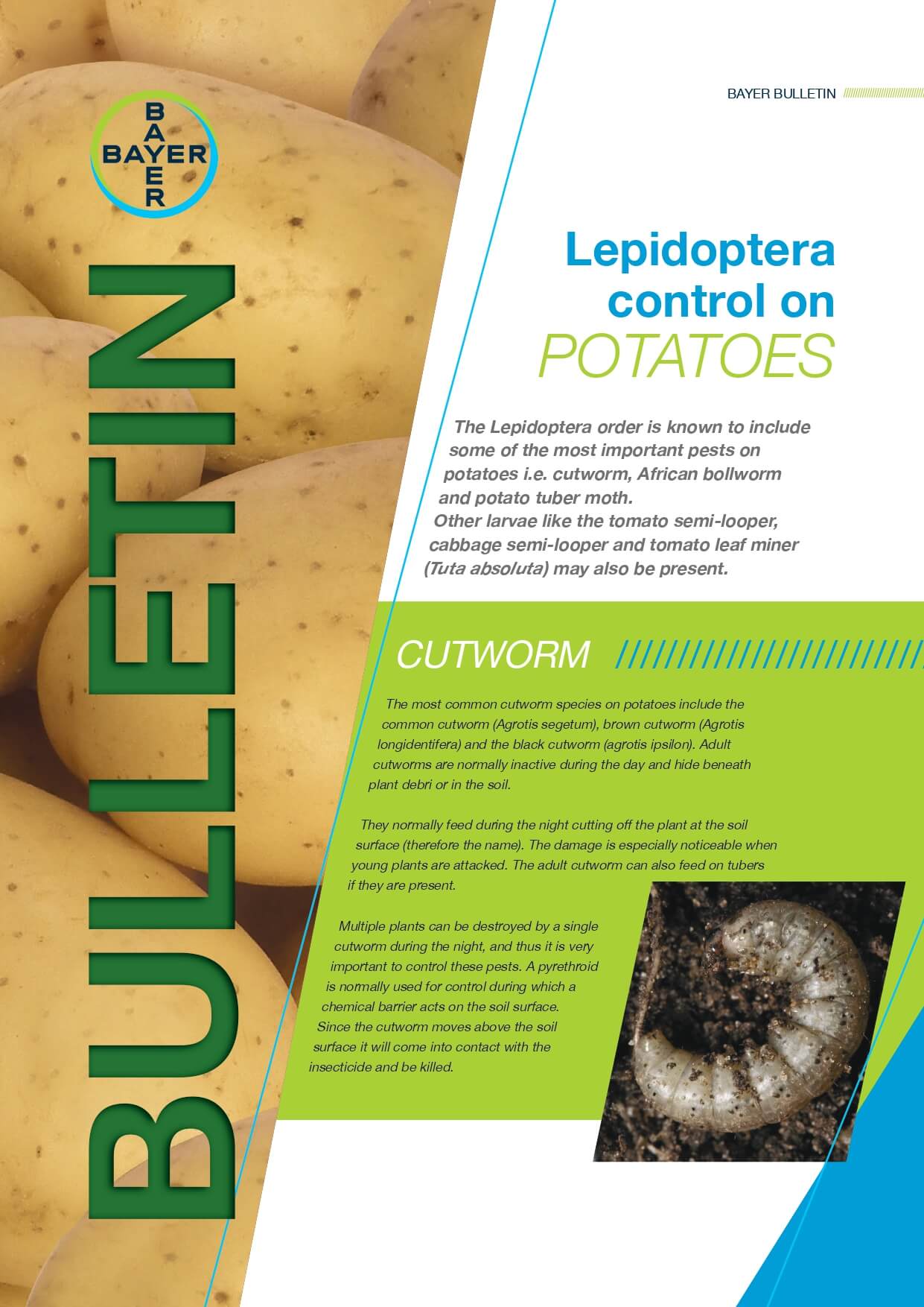 Potatoes - Lepidoptera Control