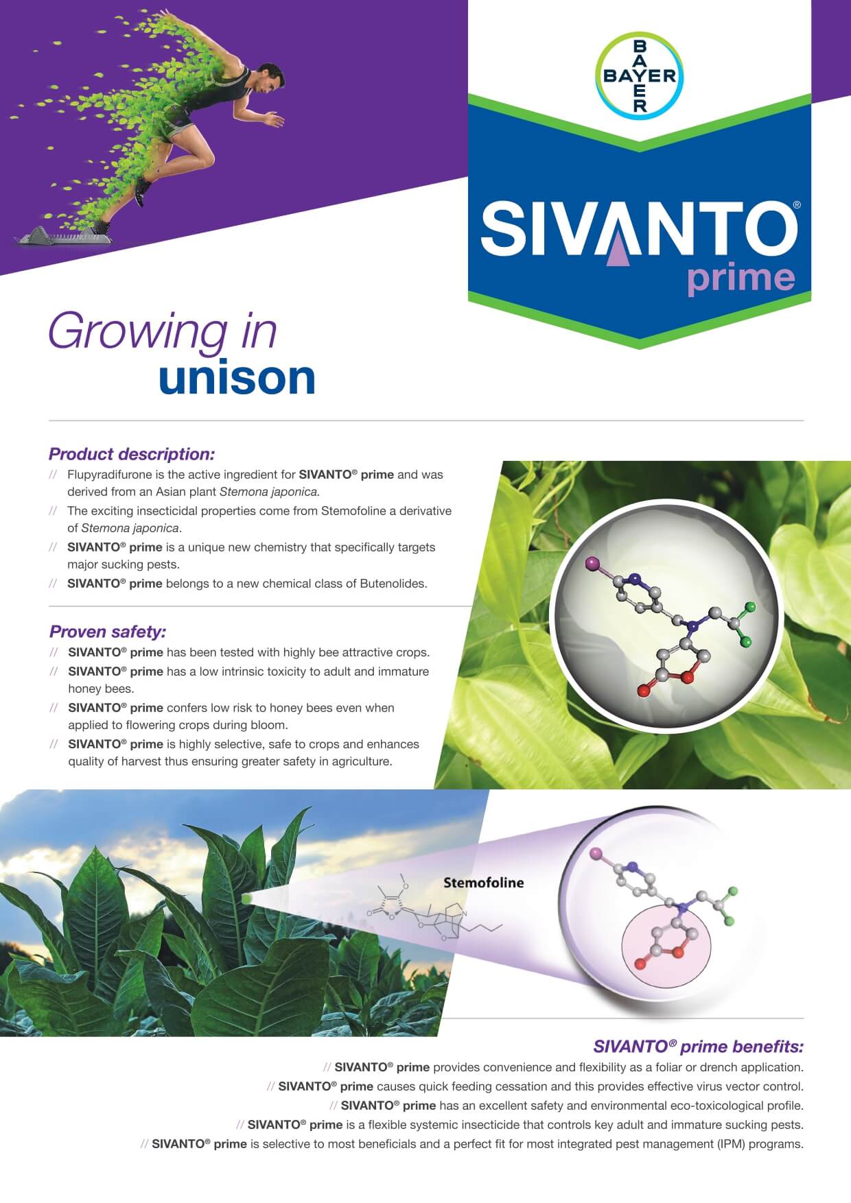 Bayer Tabacco Sivanto Prime Leaflet