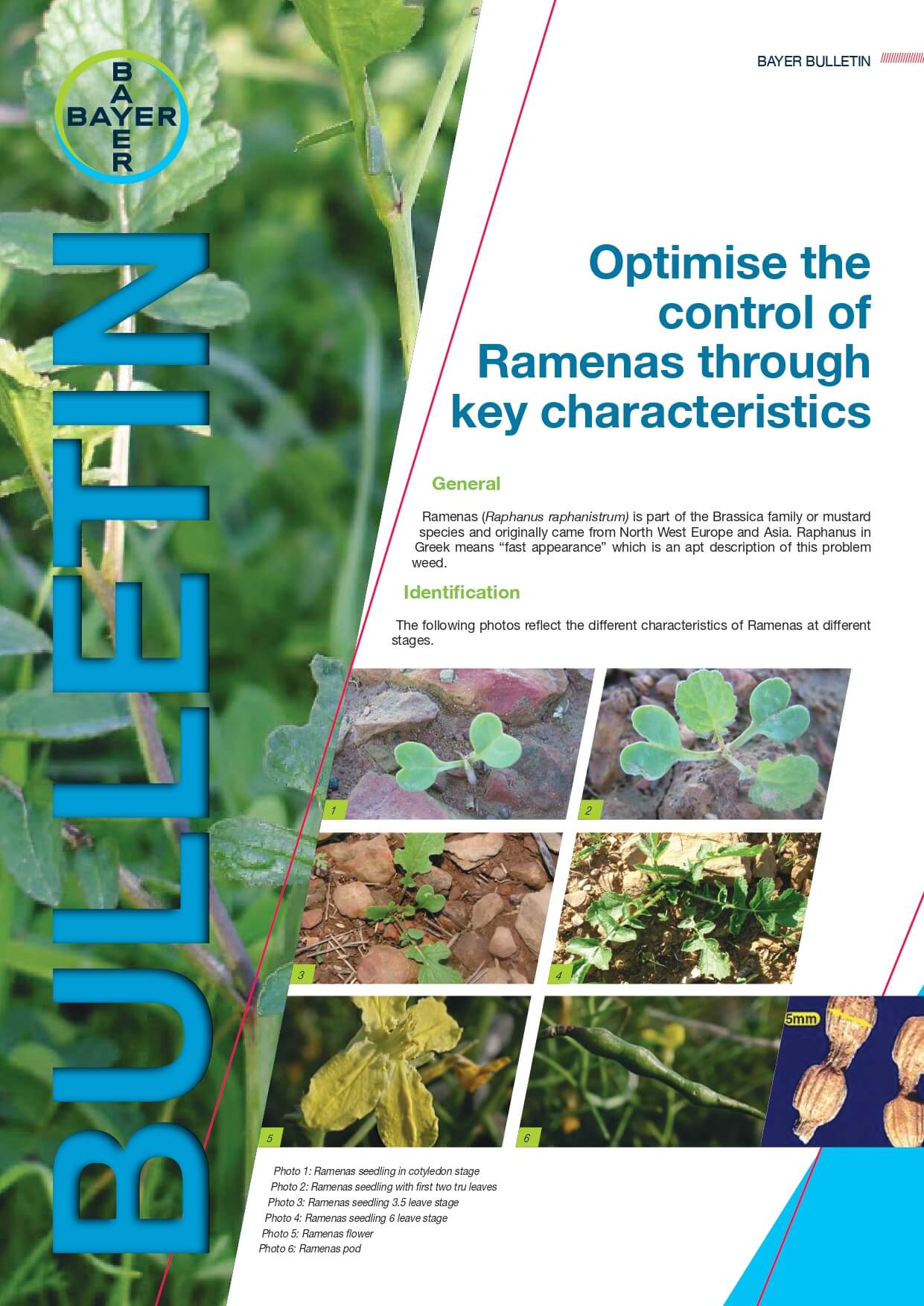 Optimise the control of Ramenas